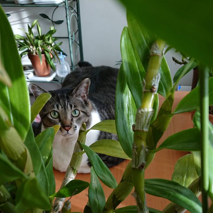 F2d5afd1 351a 4400 b326 157f20a7ff70 1543531002797