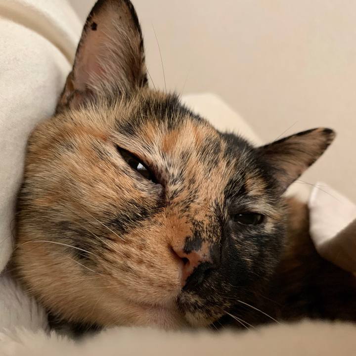 F2d5ccfd 44b0 4166 9daa ece83f27c1ef 1544943904266