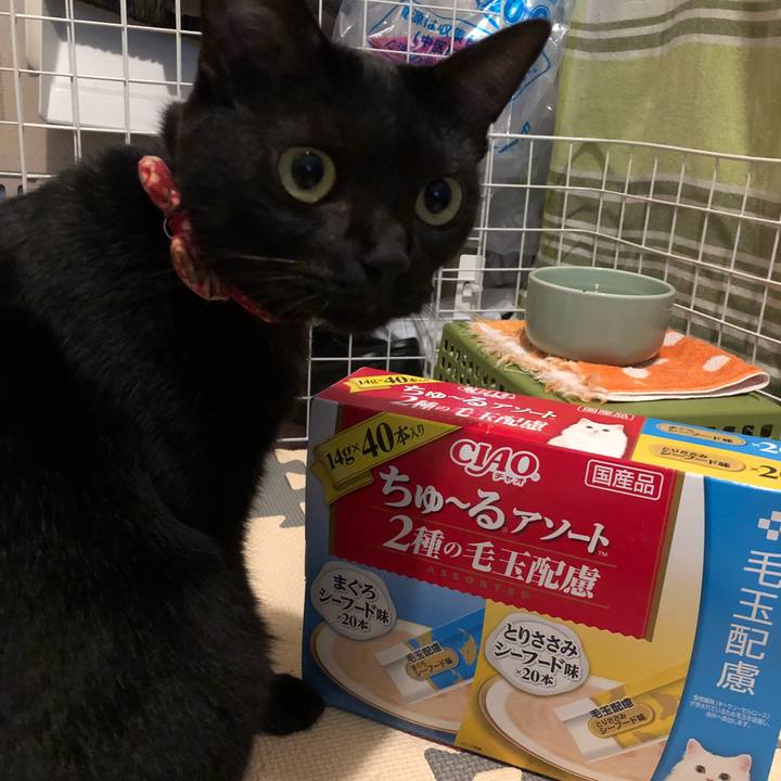 F2d5d3b3 60b5 4d81 98ef 008377afccea 1531385692699