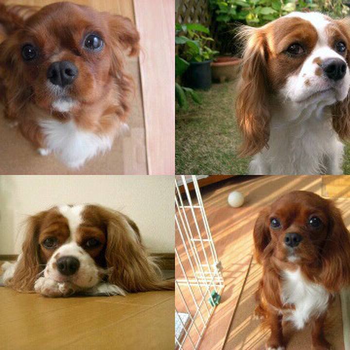 F2d5ed14 ba42 4f62 ab5b 4cd6462582cb 1510664273699