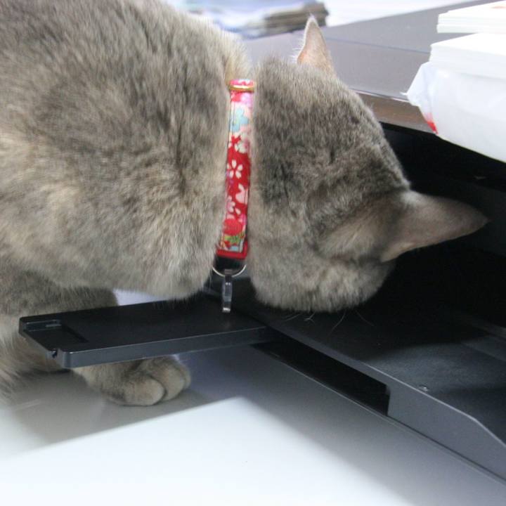 F2d62419 42e5 4d65 ba50 b9fcb982cd97 1513740513890