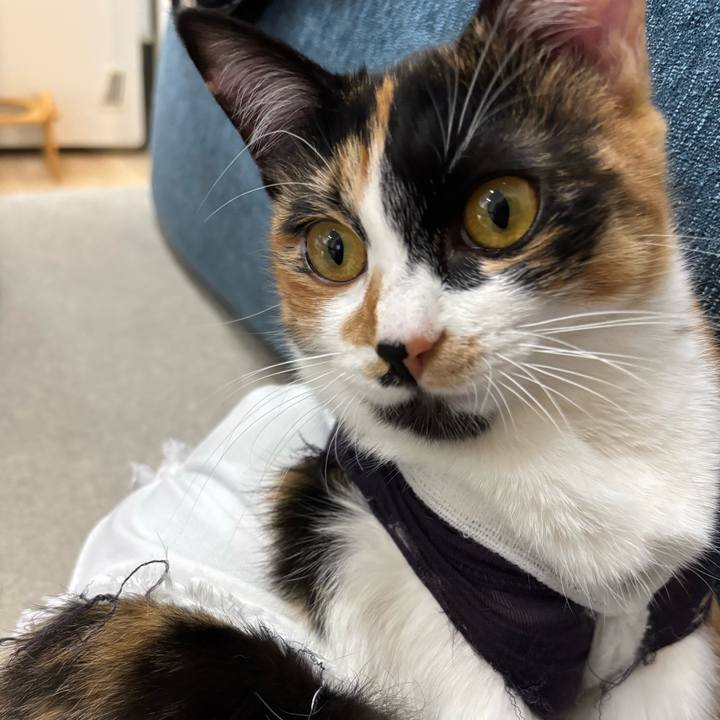 F2d62a41 1598 4555 b955 2b1b4dc5efa2 1767071689724