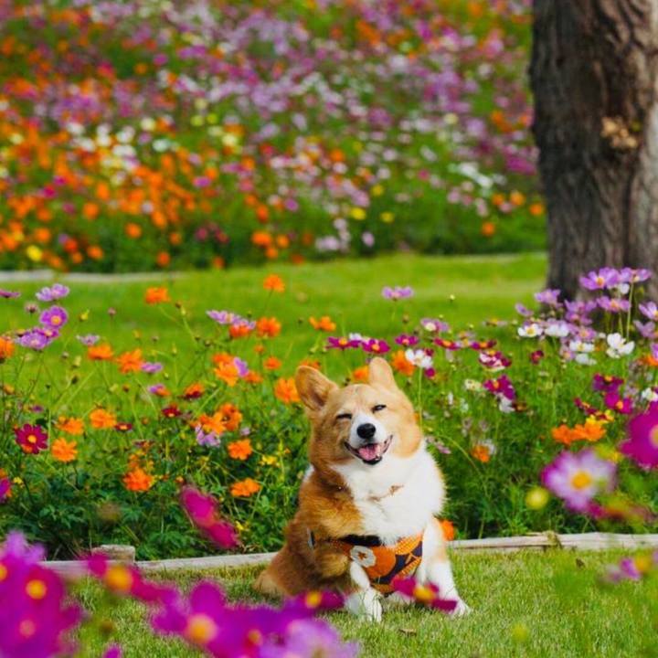 F2d652d4 b2a5 4b0a ae2d d80b452ce818 1763257836119