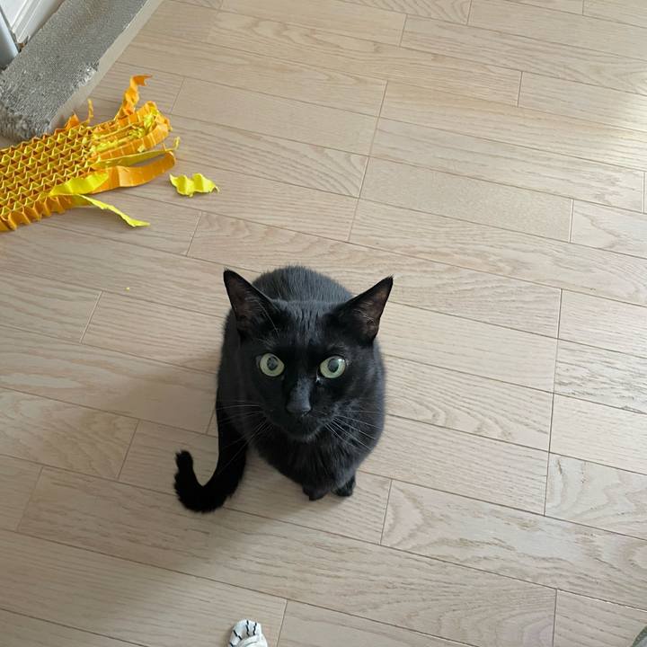 F2d6a3e5 ac4e 438a a529 e7462be0e498 1685191073247