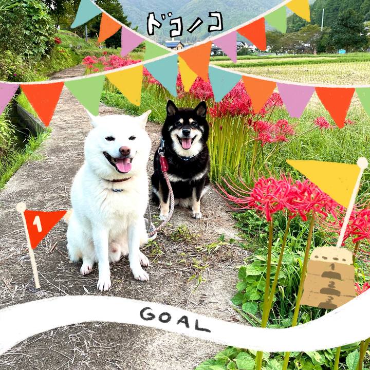 F2d6aebb b5a3 4dba 8c60 0bf5cf1d38f5 1729259874082