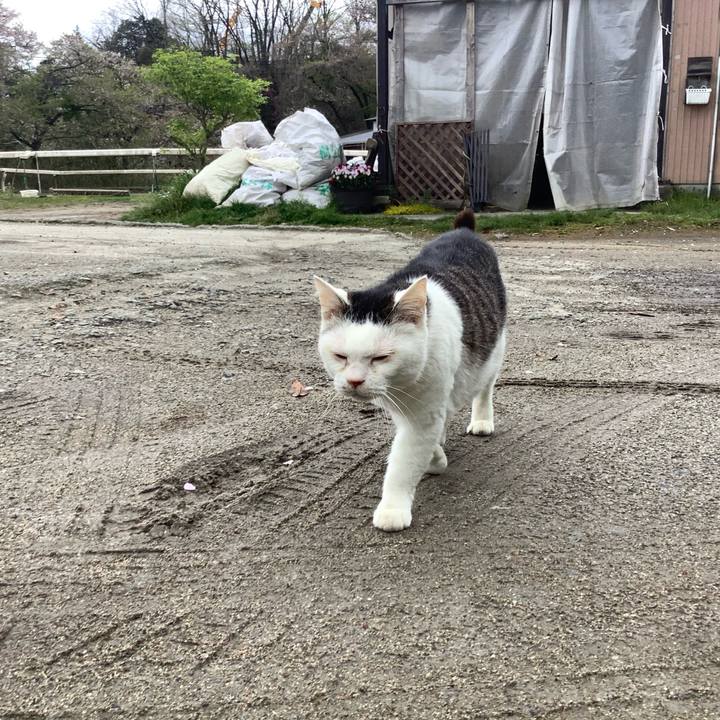 F2d6b979 913c 4f66 8a0a b28fdb8ac5ae 1587286514687