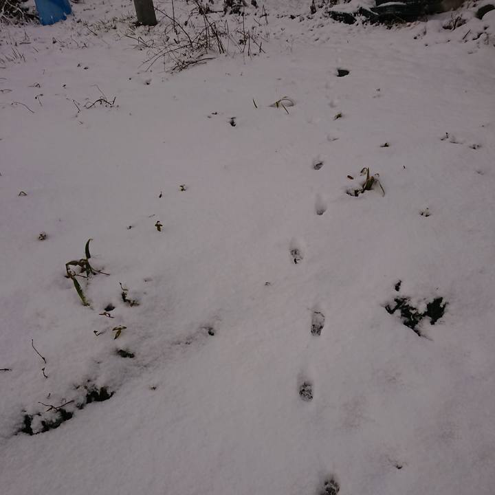 F2d6bc14 a6ed 4e22 b602 07b06e03caf9 1583445552118