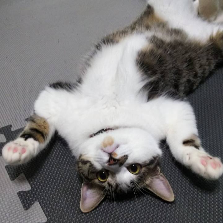 F2d6e79b f826 4f73 9e8e c6af2bafa91f 1620477590488