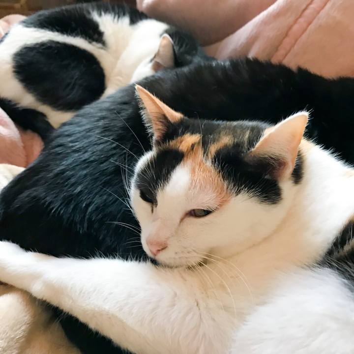 F2d724f1 03e8 4fda 84db 4407b36394e7 1514510329643