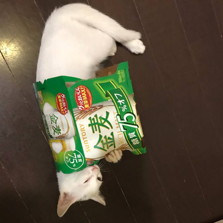 F2d74635 30ec 44cc bd65 852d80345beb 1568262375271