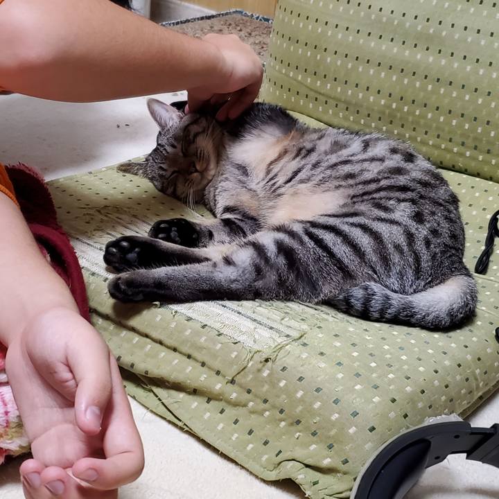 F2d74cd0 9273 405a b91a 0afed1717f72 1697096023410