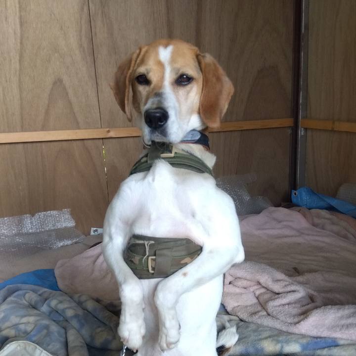 F2d76551 5ca5 4a88 ad7b c0068353459d 1685195948190