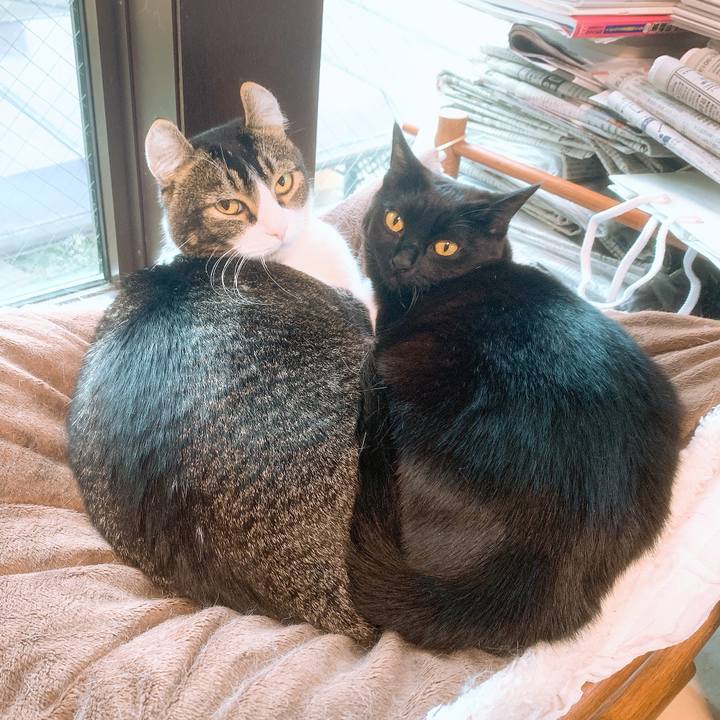 F2d799d5 2e5c 4080 b01c 66a07f4a9c63 1573133342997