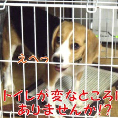 F2d79da9 2c08 4d2e a239 7e6bf3b6ff77 1695083512161