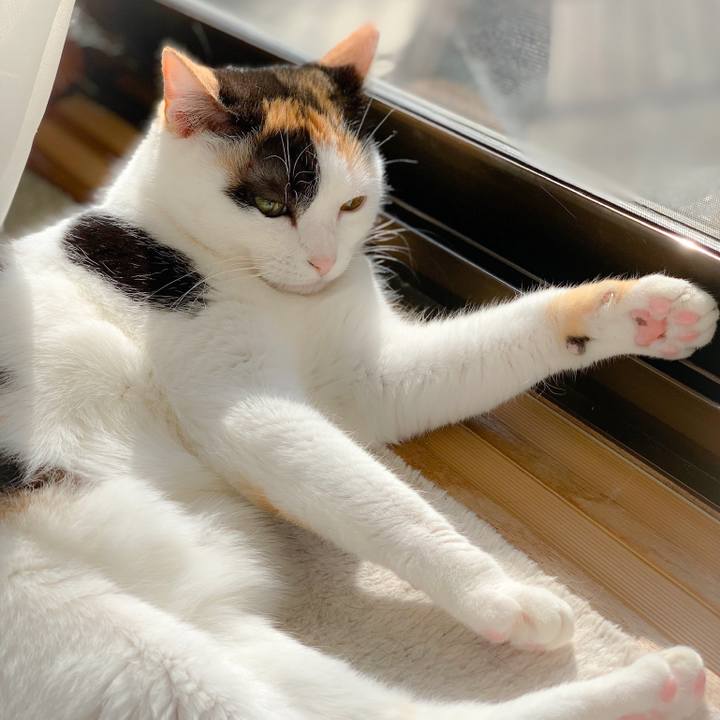 F2d7c21a 9e74 46cc b450 a16e5bb62d08 1556156452217