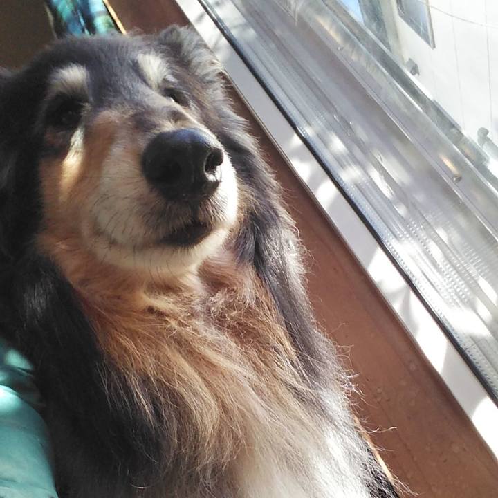 F2d7d30c 5d94 4bf2 b7cc ead2ab22d022 1609425889487