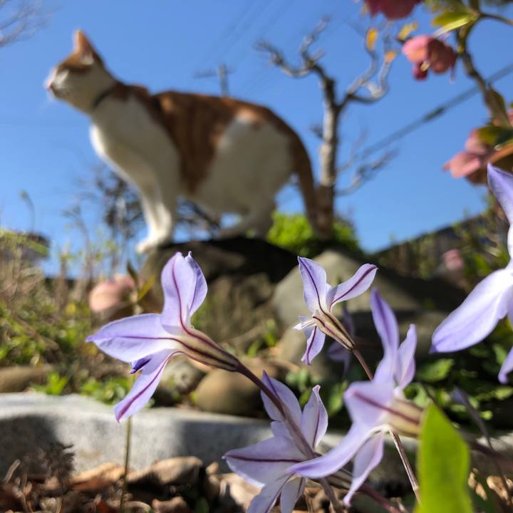 F2d7e1fd 0202 4793 b577 24e6220b4f3c 1555750965327