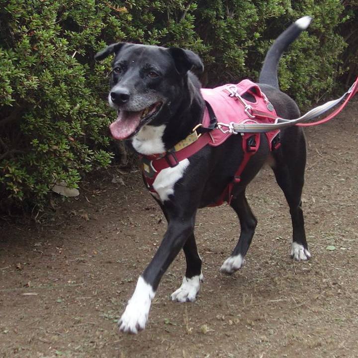 F2d7f634 44fe 40e4 9520 cf6730f450ba 1699145172917