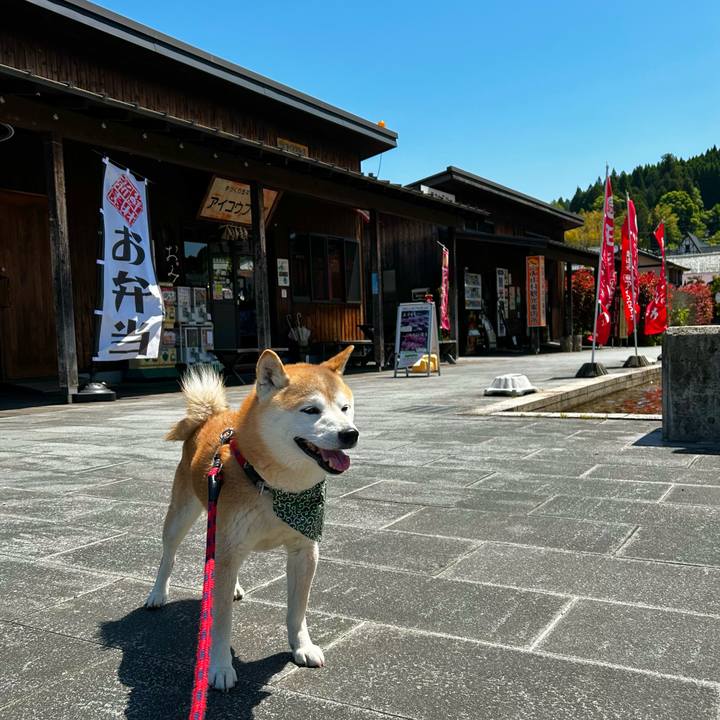 F2d7faa2 17fb 4519 ada9 35dbb407a840 1715425201625