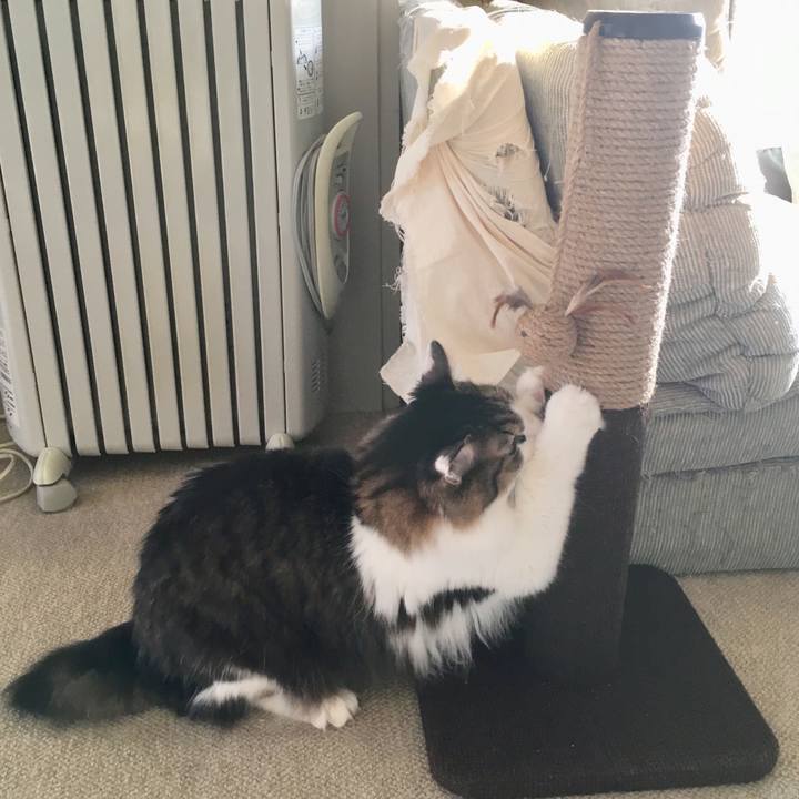 F2d8e576 0c79 44c5 a9f4 d251117aaa7e 1545713494283