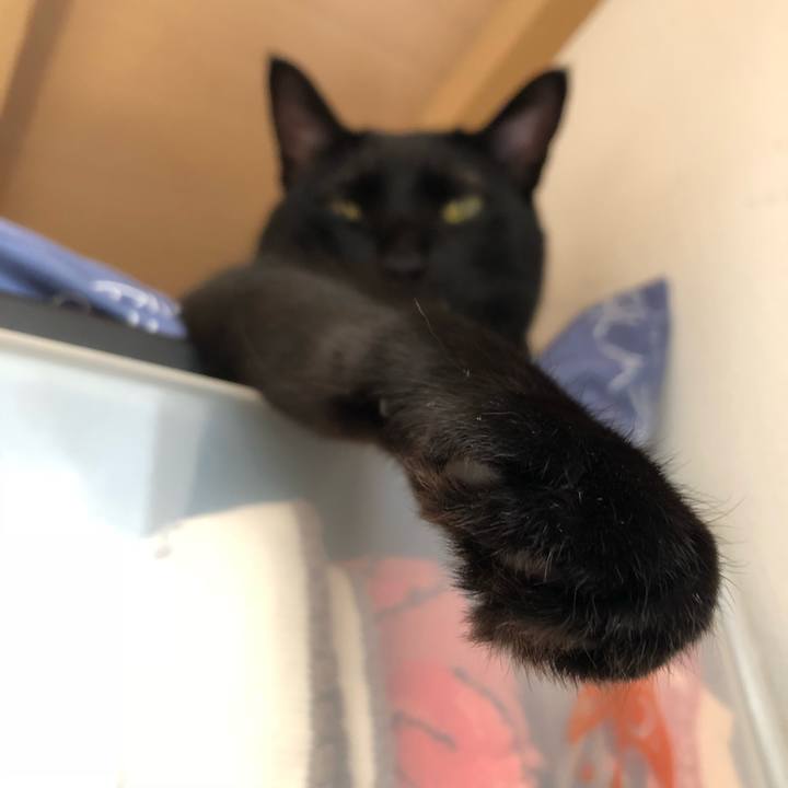 F2d8f659 0b07 4342 bb9b 0fa0bc66cba1 1540991171629