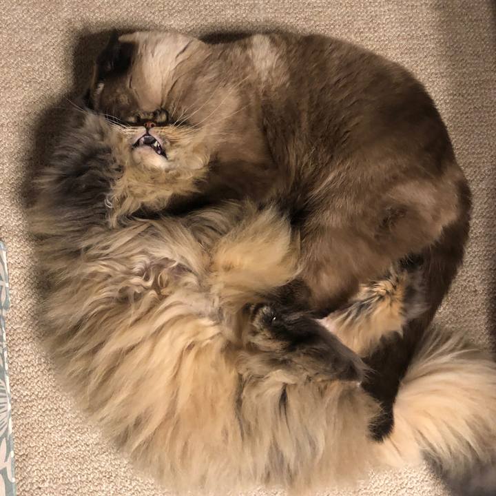 F2d917a0 de19 434f 85ec 61c9f87dbe80 1613388365335