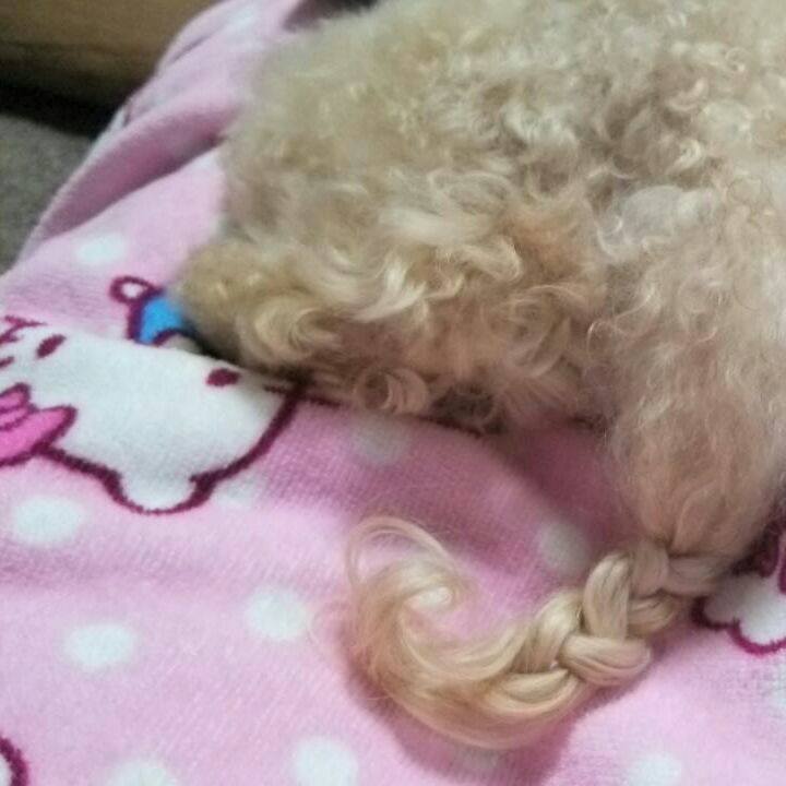 F2d91ff2 3a3c 4b0c 9221 c4845a3b3cea 1537017355795