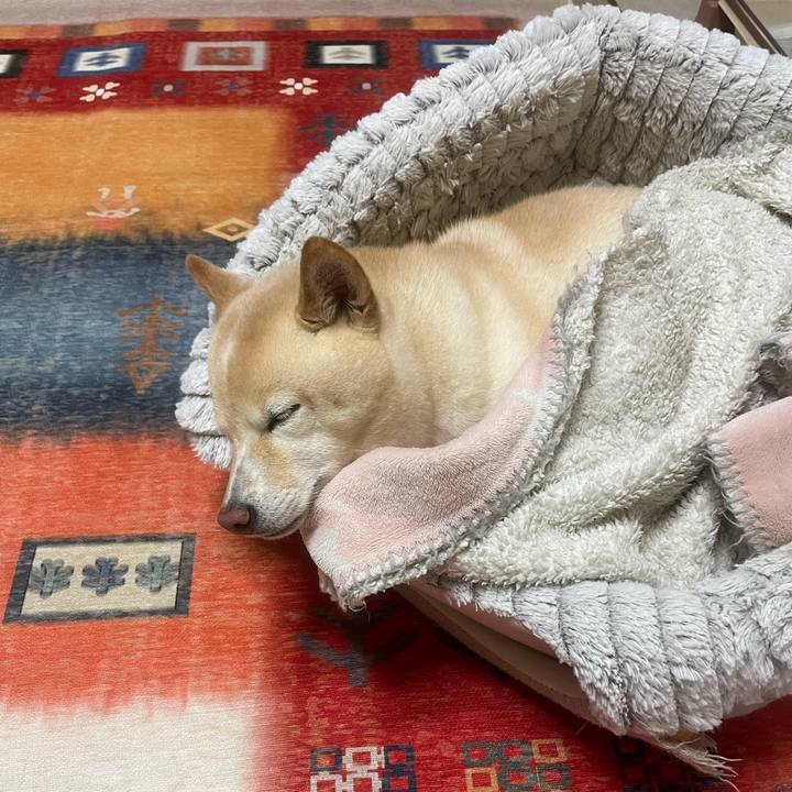 F2d927aa 8812 4586 89d3 2aa4e24ccb84 1734100400464