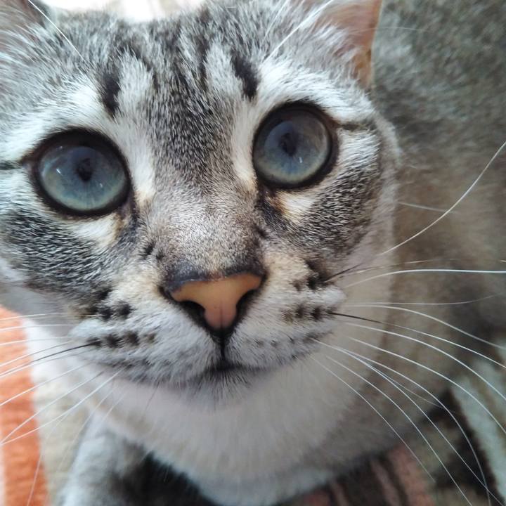 F2d92b0a bb19 4531 9547 bd47befb95a2 1556083709798