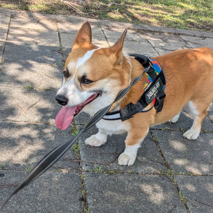 F2d94c6d a54b 435f a9a2 992a981890a5 1746243957533