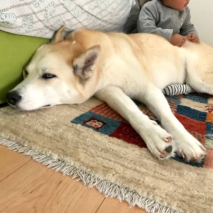 F2d96867 304e 4049 a521 4f10bf9ba761 1518331305584