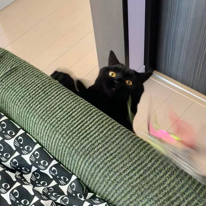 F2d97ba6 0955 478b 9813 61462b3df460 1632094989963