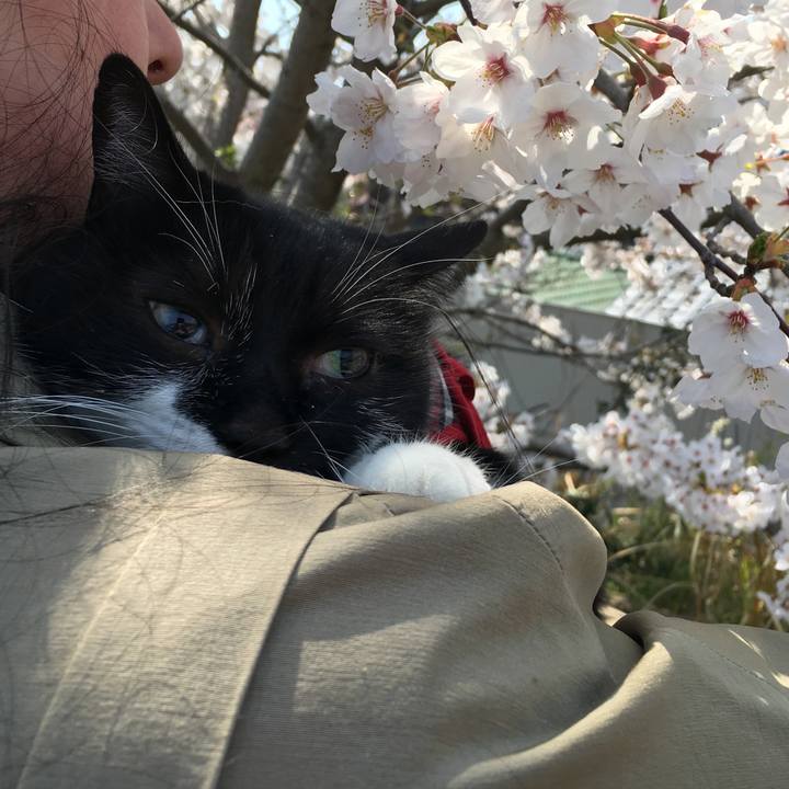 F2d986cf d81a 4f29 8f19 221ad4273156 1554565452859