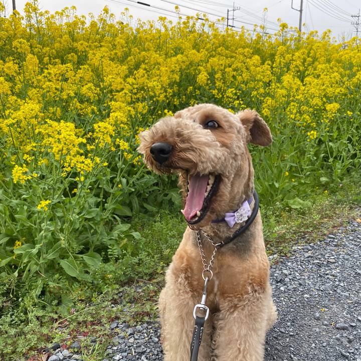 F2d9a350 a456 49e3 bb33 6ae0114d07ce 1617091500366