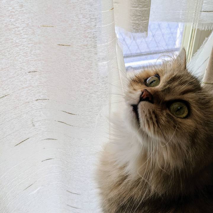 F2d9f831 dd13 4d28 9358 3f284d8c7afa 1659323354183