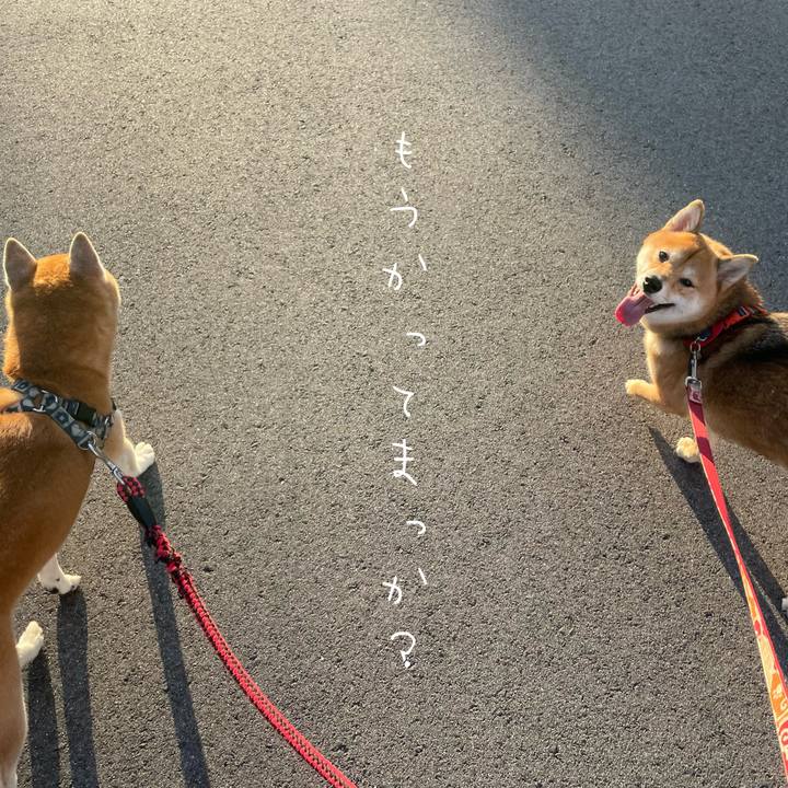 F2d9fbb4 69ce 4aab 8841 084b33ece536 1666392268018