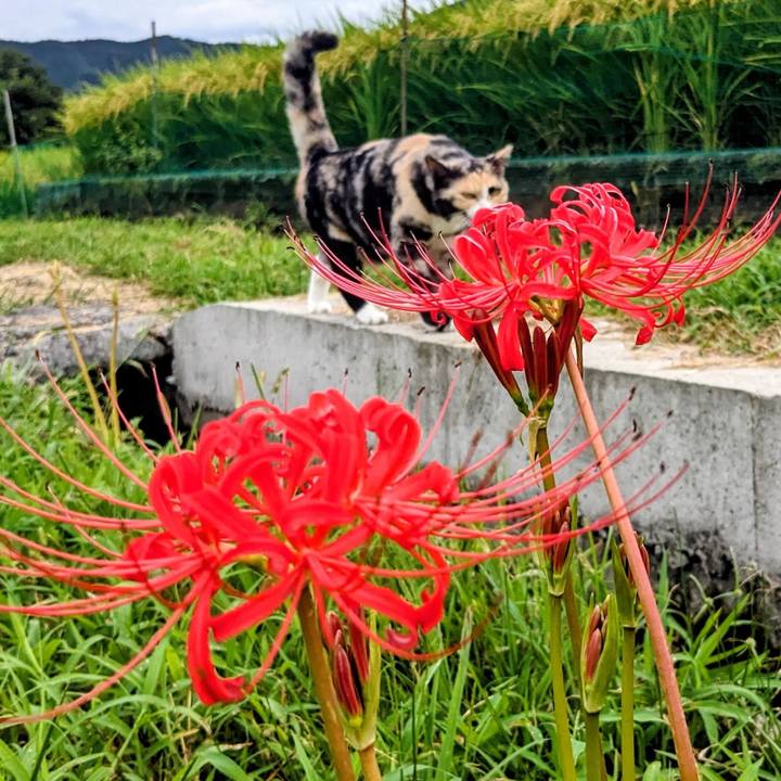 F2da3255 8e79 4891 a19a eeca9b1f7938 1758181579473