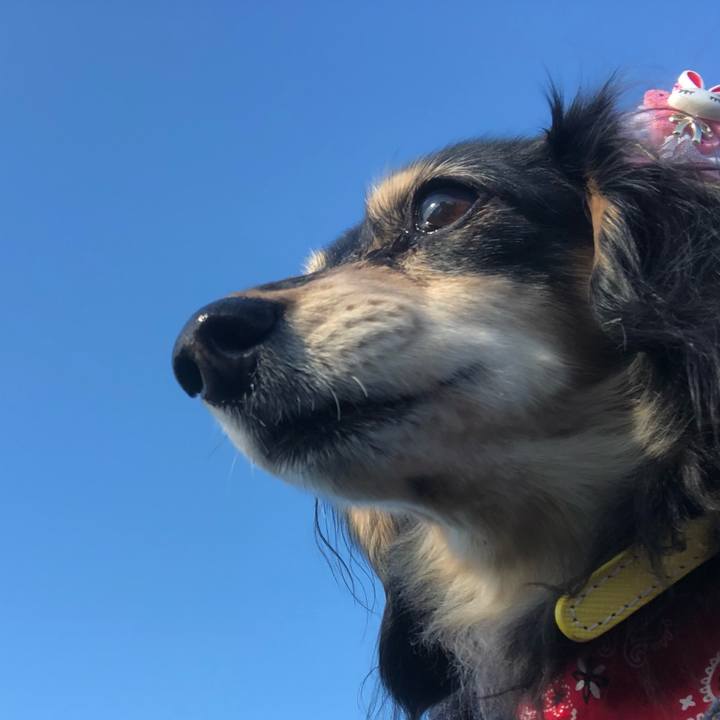 F2da3ebb 940c 4b1e bded e3a60c7852c9 1606867764911