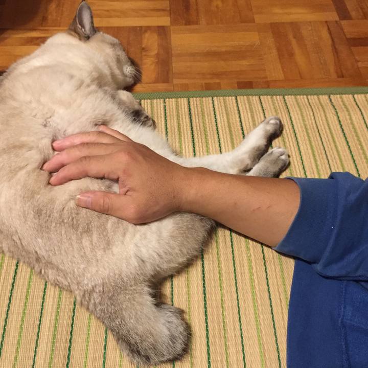 F2da4169 7254 44a5 b46a 3e31b350598d 1571745680169