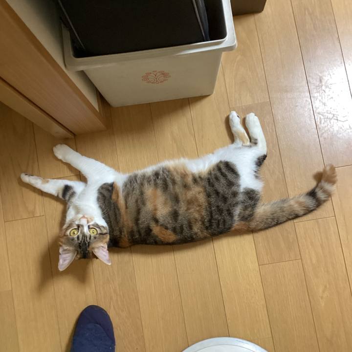 F2da7309 5cc5 4ba4 bb03 4a23d9bb2bd9 1655606459887