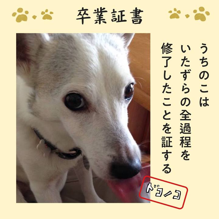 F2dab9ab 7890 4479 9dbc 5501cfda094d 1771822248046