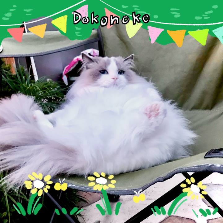 F2dad475 7075 4a54 955b bec9df92883f 1711094811611