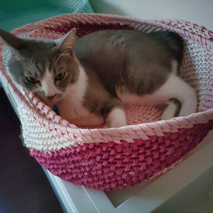 F2db031f de5a 46f9 9b10 a1d7909c85ca 1694729443025