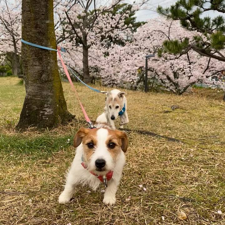 F2db039c 5ef4 4662 bd9a c31bf7e8a2e7 1712530436449