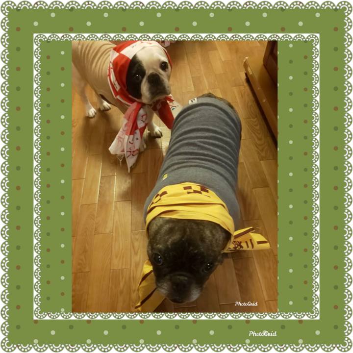 F2db1104 e2e6 4339 9e61 886e7687ee06 1684547344041