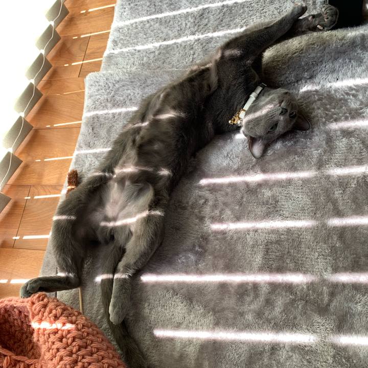 F2db21a3 ddbf 40ec 8724 f44a1fa2cd6e 1646975947245