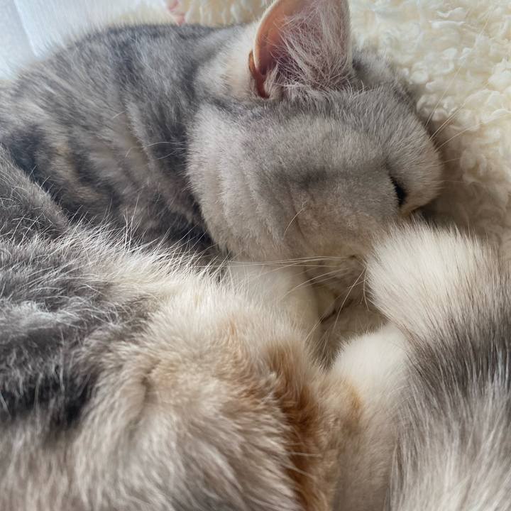 F2db377c 2ad3 4868 994d aad821ce2a45 1775966586563