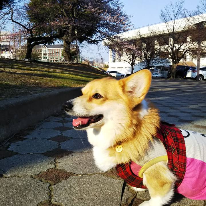 F2db97aa fd28 4118 9e1d 6a1193b6af1f 1554451172858