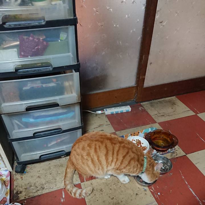 F2dbbf07 8022 4a9d 818c 3e25d1402d5d 1582953012669