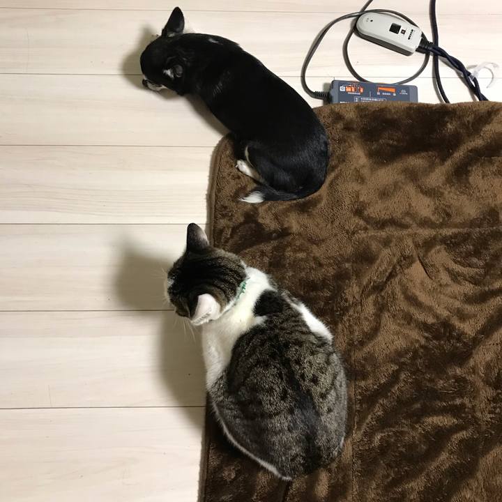 F2dbcda5 811c 4032 82ce 574ad2ac21e6 1551423517098